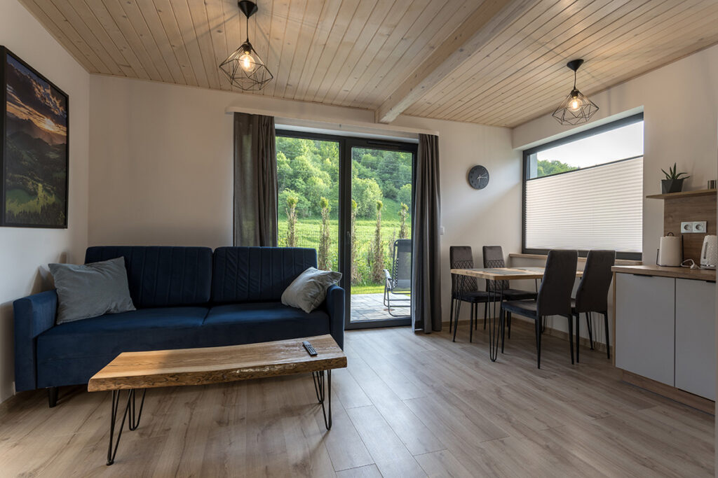 Domki Pienińskie - Domek szary - salon
